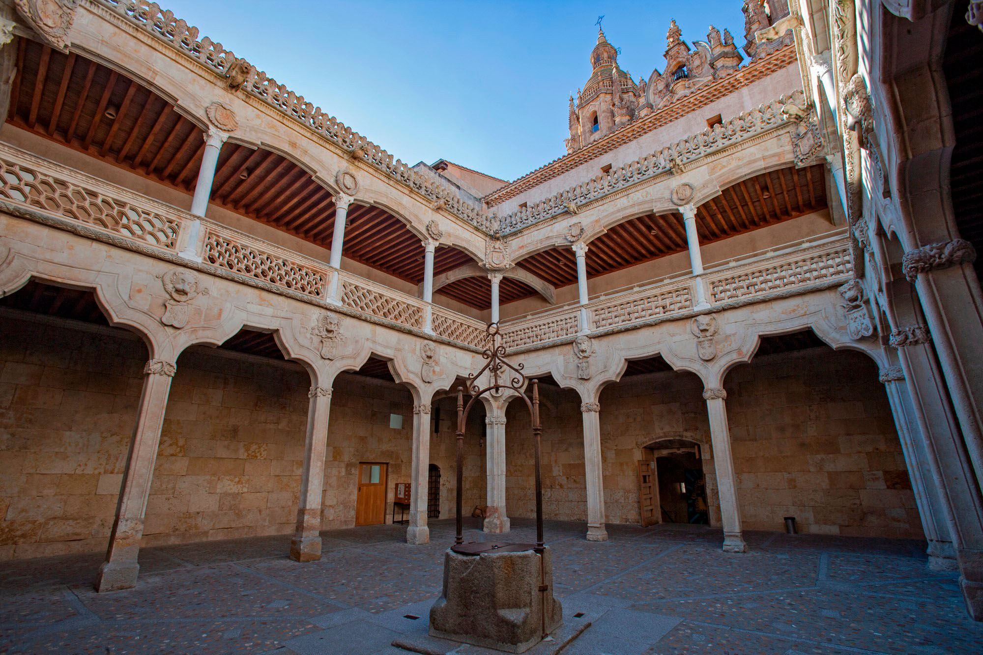 CONCHAS SILENCIOSAS 1