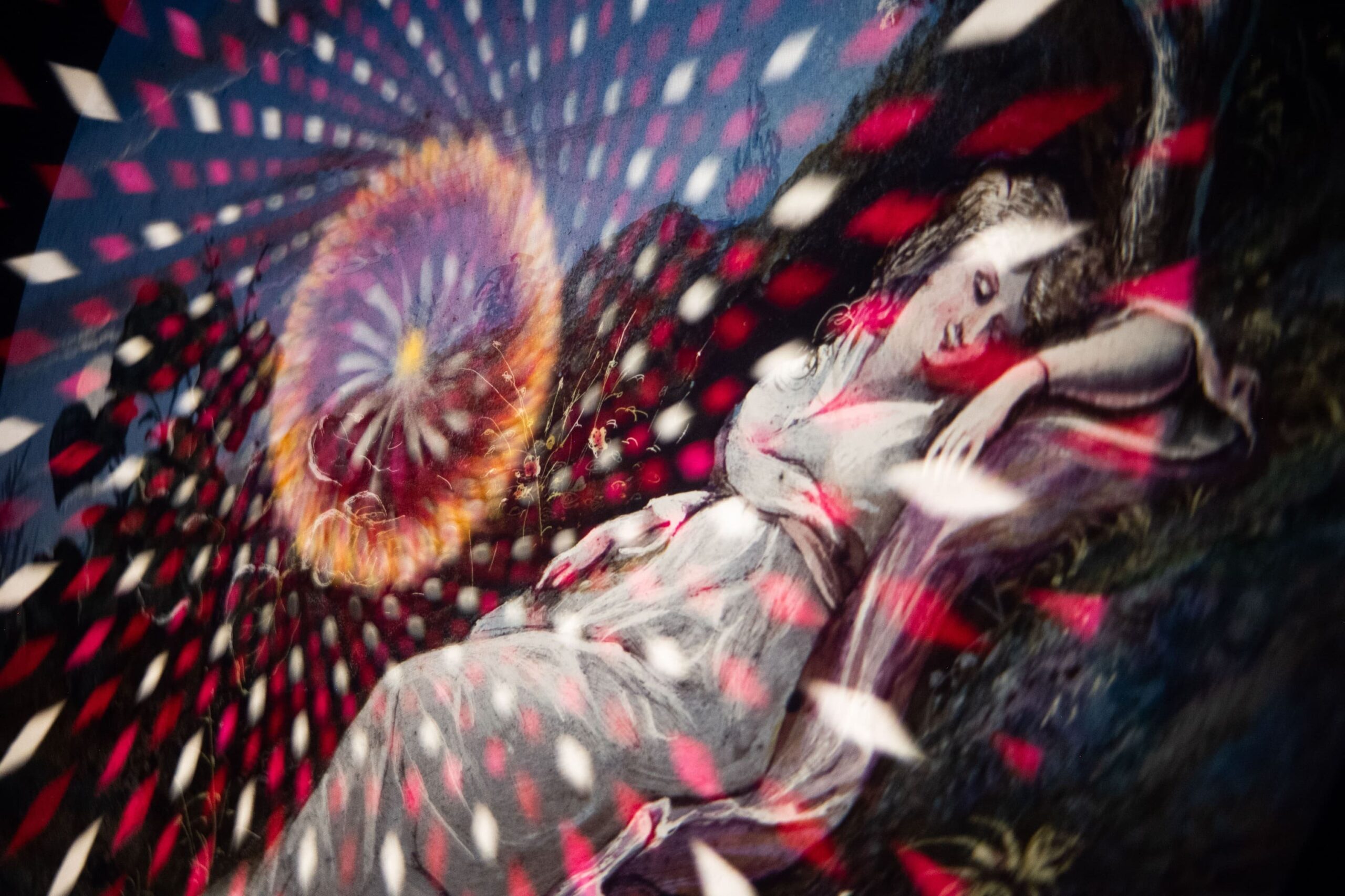 el cazador de imágenes