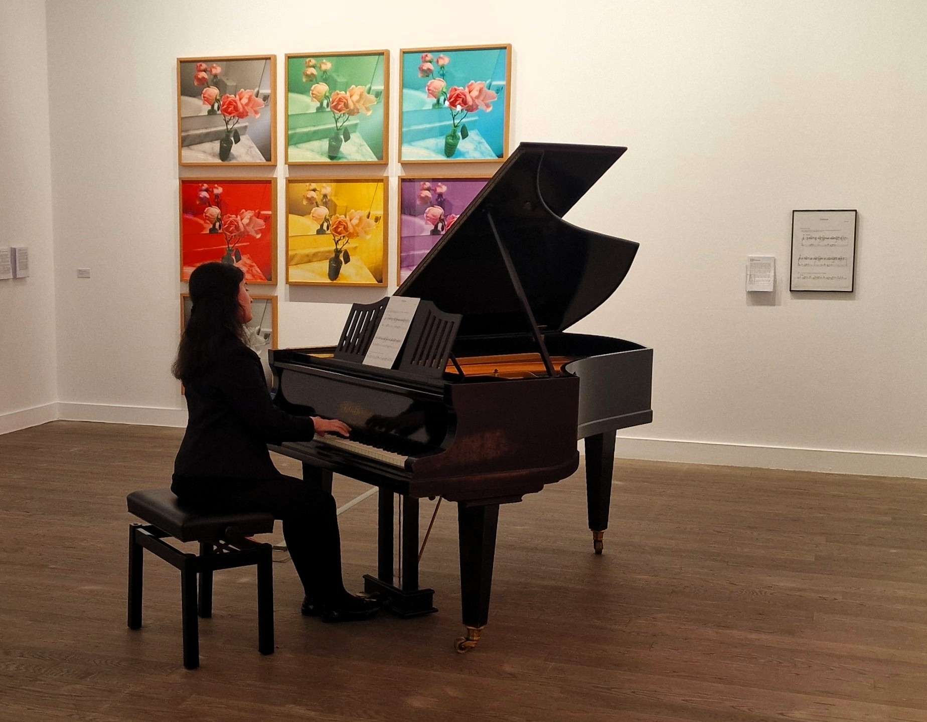 VEXATIONS